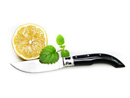 Sardisches Hirtenmesser im www.sardinienshop.de