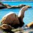 roberto_asara_quaglioni