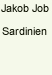 Jakob Job: Sardinien. 1956. Reiseerinnerungen aus den Jahren 1928-1935. Job war Schweizer Reiseschriftsteller. Bei AMAZON