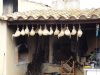 DSC00926.JPG