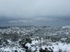 DSCF3341.JPG