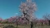 2012-02-23.JPG