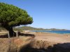 Sardinien2011 (215).JPG
