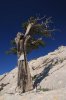 DSC_0476.JPG DSC_0476.JPG