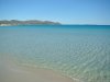 DSC07957.jpg