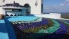 20131010_154132.jpg