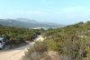 S1180026-1.jpg S1180026-1.jpg