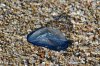 DSC_0181.JPG DSC_0181.JPG