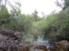 Sardinien Juni2 058.JPG