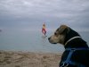 2005_Frühjahr_Best_of_Sardinien (219).JPG