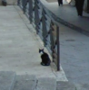 upload_2014-9-4_16-32-57.png