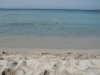 IMG_0407.JPG IMG_0407.JPG