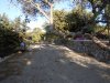 DSCN6710.JPG DSCN6710.JPG