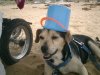 2007_Mai_Best_of_Sardinien (210).JPG