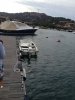 IMG_3732.jpeg IMG_3732.jpeg