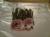 4Spargel.jpg