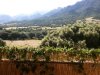 Aussicht vom Balkon Nebenhaus.jpg