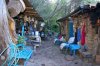 DSC05258_jiw.jpg