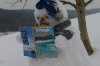 DSC_3742.jpg