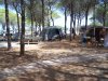 camp2.jpg