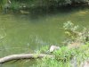 IMG_4243.JPG