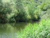 IMG_4245.JPG