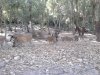 Parco Assai 2.JPG