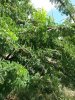 20150920_114059.jpg