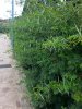 20150920_121312.jpg