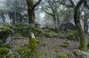 DSC_6297.JPG
