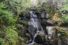 DSC_6343.JPG