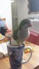 20151027_104105.jpg