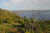 DSC_0004.JPG DSC_0004.JPG