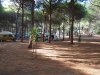 P8250100.JPG