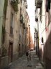 CIMG0556.JPG