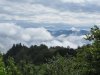 IMG_2529.JPG