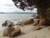 DSC08585.JPG DSC08585.JPG