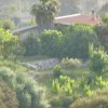 P1020059.JPG