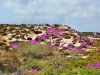 sardinien (15).jpg