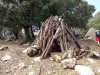 DSC00880 Kopie.JPG