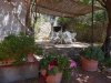 Pergola.JPG