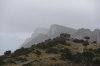 DSC_9456.JPG DSC_9456.JPG