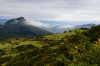 _DSC7197.JPG _DSC7197.JPG