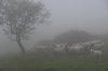 DSC_9480.JPG DSC_9480.JPG