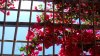 20150529_112844.jpg