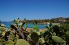 DSC07948.JPG