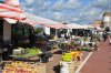 DSC_0199.jpg