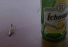radler.jpg
