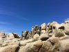 image.jpeg image.jpeg