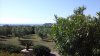 20160519_094006.jpg